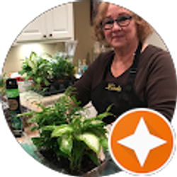 Profile photo of Linda Kijek