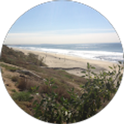 Profile photo of Tony Rice