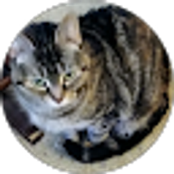 Profile photo of Victoria Sanchez