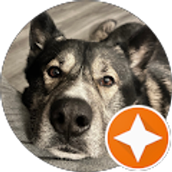 Profile photo of Dagoberto Morales