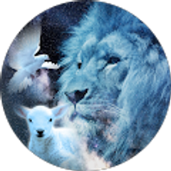 Profile photo of It's Midnight Ministries