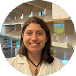 Profile photo of Lisette Werba