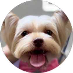 Profile photo of mary garcia