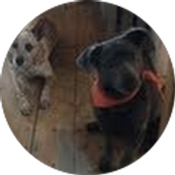 Profile photo of Erica Sussman