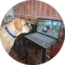 Profile photo of Kathy Gould