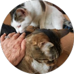 Profile photo of Audrey Viands