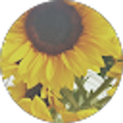 Profile photo of D J