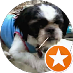 Profile photo of Cameron Ballard