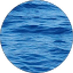 Profile photo of Rob Noble