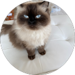 Profile photo of Nazi Asaman