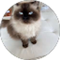 Profile photo of Nazi Asaman