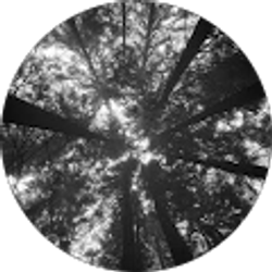 Profile photo of Samuel Cisneros