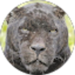 Profile photo of Patrick Moore