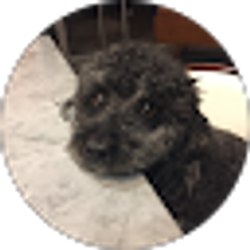 Profile photo of Matthew Pizzullo