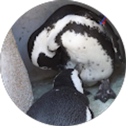 Profile photo of Meagan Mugler