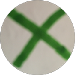 Profile photo of Farhaan Syed