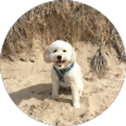 Profile photo of Ashley McMurtrey