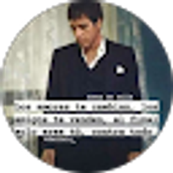 Profile photo of Haisel padilla navarro