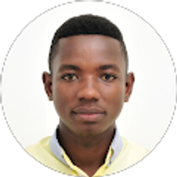 Profile photo of Ransmond Berchie