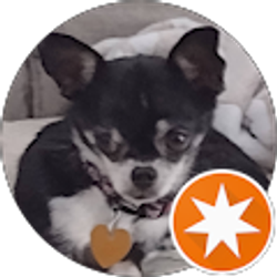 Profile photo of Eddie Brady