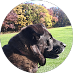 Profile photo of leslie vanhierden