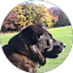 Profile photo of leslie vanhierden