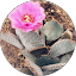 Profile photo of Kallie Lyman