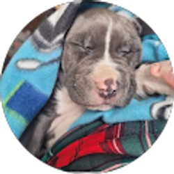 Profile photo of Jennifer Rasmussen