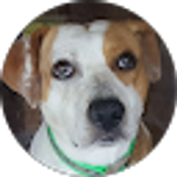 Profile photo of Brian Coulson