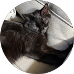 Profile photo of AJ Glover