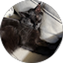 Profile photo of AJ Glover