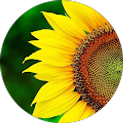 Profile photo of Maribel Hernandez