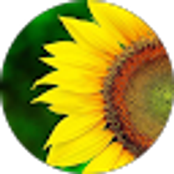 Profile photo of Maribel Hernandez