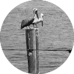 Profile photo of megan davis