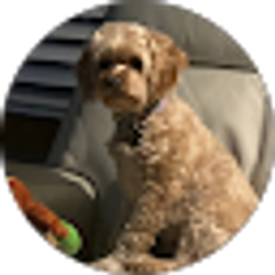 Profile photo of Rosie Reynolds