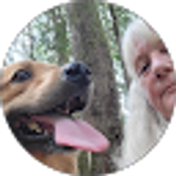 Profile photo of susan mccoy