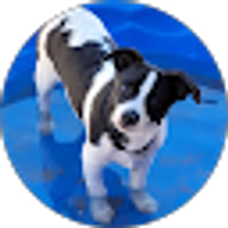 Profile photo of Tammy