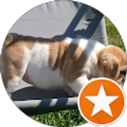 Profile photo of Joel McCann