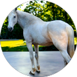 Profile photo of Anastacia M