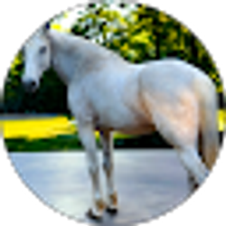 Profile photo of Anastacia M