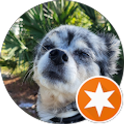 Profile photo of Ray Cardona