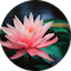 Profile photo of Ashley Polk