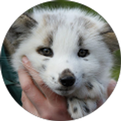 Profile photo of Keely Hansen