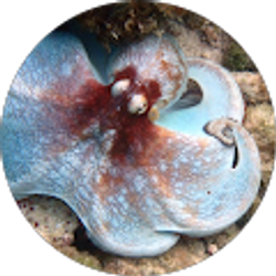 Profile photo of Barbara Powers