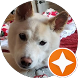 Profile photo of Sandy Hughes