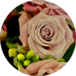 Profile photo of Lorena Martinez