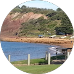 Profile photo of Ron Silver