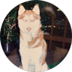 Profile photo of Lora Riegner