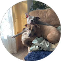 Profile photo of Paul Gonzales