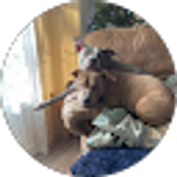 Profile photo of Paul Gonzales